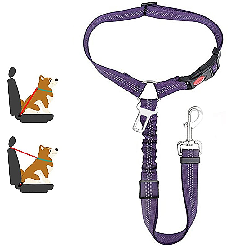 Dog Seat Belt