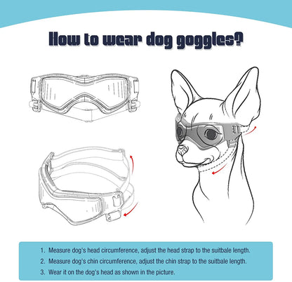 Protective Glasses for Dogs