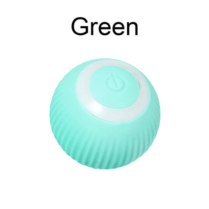 Interactive Pet Ball