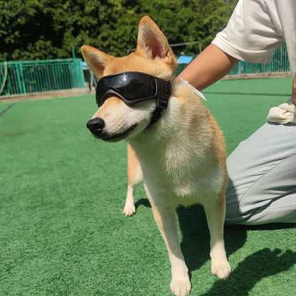 Protective Glasses for Dogs